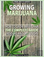 Growing Marijuana