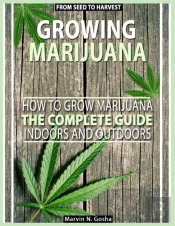 Growing Marijuana