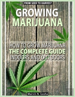 Bertrand.pt - Growing Marijuana