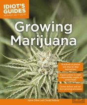 Growing Marijuana