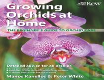 Growing Orchids At Home