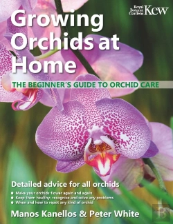 Bertrand.pt - Growing Orchids At Home