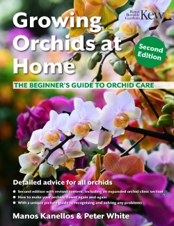 Bertrand.pt - Growing Orchids At Home