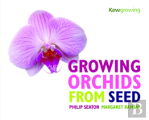 Growing Orchids From Seed
