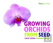 Growing Orchids From Seed