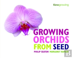 Bertrand.pt - Growing Orchids From Seed