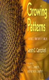 Growing Patterns