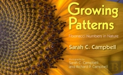 Bertrand.pt - Growing Patterns