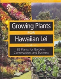 Bertrand.pt - Growing Plants For Hawaiian Lei