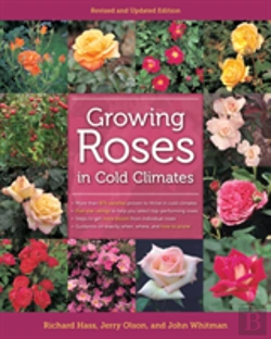 Bertrand.pt - Growing Roses In Cold Climates