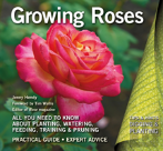 Growing Roses