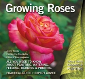 Growing Roses
