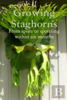 Growing Staghorns From Spore