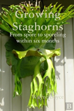 Bertrand.pt - Growing Staghorns From Spore