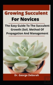 Growing Succulent For Novices