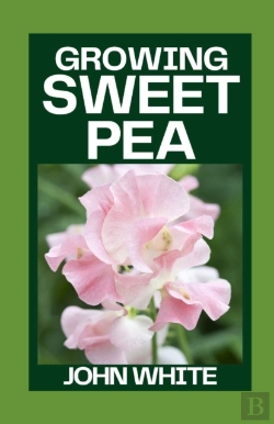Bertrand.pt - Growing Sweet Pea