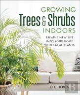 Growing Trees And Shrubs Indoors