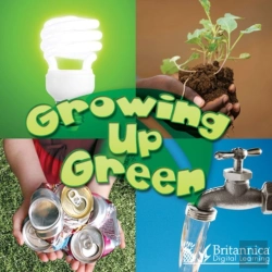 Bertrand.pt - Growing Up Green