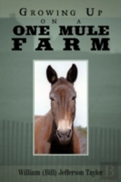Growing Up On A One Mule Farm