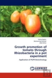 Growth Promotion Of Tomato Through Rhizobacteria In A Pot Experiment