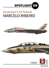 Grumman F-14 Tomcat