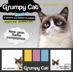 Bertrand.pt - Grumpy Cat Its All Downhill From Here