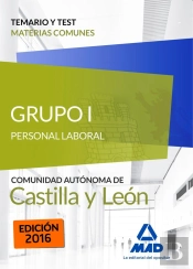 Grupo I Personal Laboral De La Junta De Castilla Y León. Temario Y Test Materias Comunes