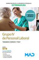 Grupo Iv De Personal Laboral De La Administracion De La Comu