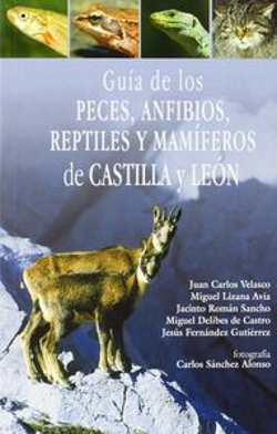 Bertrand.pt - Gu¡A De Los Peces, Anfibios, Reptiles Y Mam¡Feros De Castilla Y León
