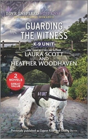 Guarding The Witness