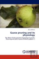 Guava Pruning And Its Physiology