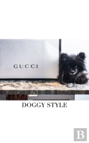 Gucci  Doggy Style