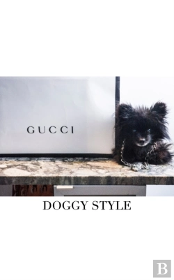 Bertrand.pt - Gucci  Doggy Style