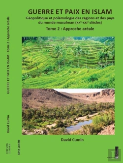 Bertrand.pt - Guerre Et Paix En Islam : Géopolitique Et Polémique Des Régions Et Des Pays Du Monde Musulman (Xx-Xxi Siècles) Tome 2 : Approche Aréale