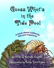 Guess What'S In The Tide Pool