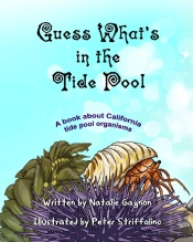 Guess What'S In The Tide Pool