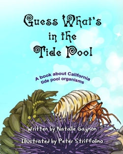Bertrand.pt - Guess What'S In The Tide Pool