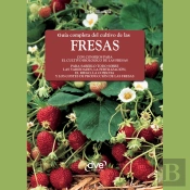 Guía Completa Del Cultivo De Las Fresas