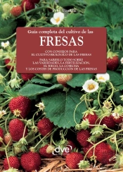 Guía Completa Del Cultivo De Las Fresas
