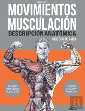 Guia De Los Movimientos De Muscuacion Descripcion Anatomica