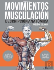 Guia De Los Movimientos De Muscuacion Descripcion Anatomica