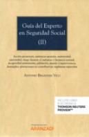 Guía Del Experto En Seguridad Social (I) (Papel + E-Book)
