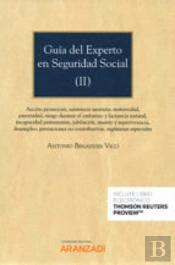 Guía Del Experto En Seguridad Social (I) (Papel + E-Book)