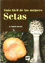 Guía Fácil De Las Mejores Setas