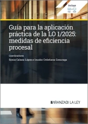 Guia Para La Aplicacion Practica De La Lo 1;2025: Medidas De Eficiencia Procesal
