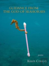 Guidance From The God Of Seahorses