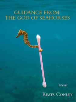 Bertrand.pt - Guidance From The God Of Seahorses