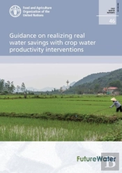 Guidance On Realizing Real Water Savings With Crop Water Productivity Interventions
