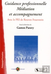 Guidance Professionnelle Mediation Et Accompagnement
