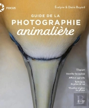 Guide De Photographie Animalière